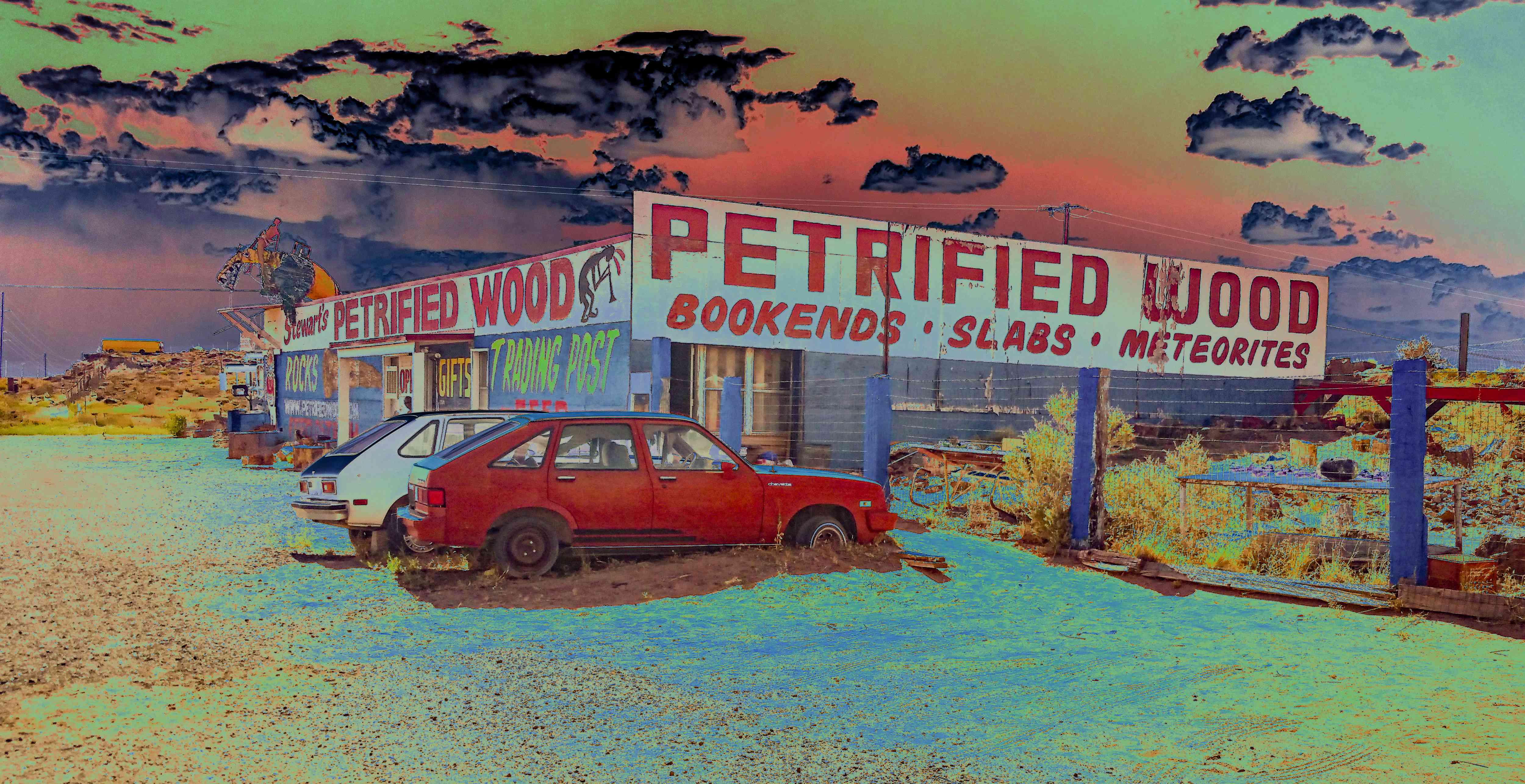 Petrified Wood Shop Solarized